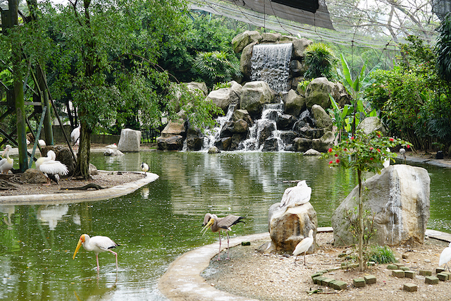 kl bird park